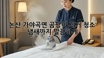 논산 가야곡면 곰팡이 제거 청소: 냄새까지 말끔하게!