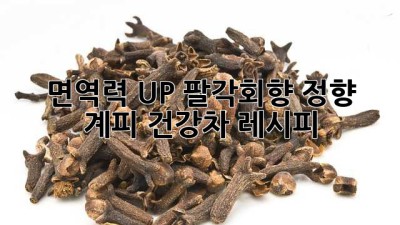 면역력 UP! 팔각회향 정향 계피 건강차 레시피